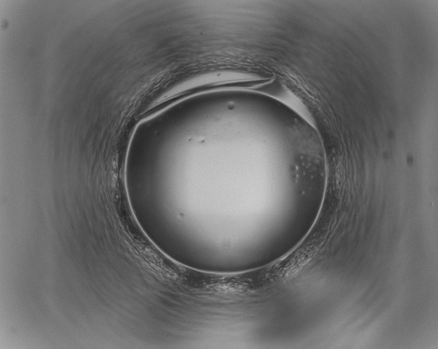 X0000064720737200602171615