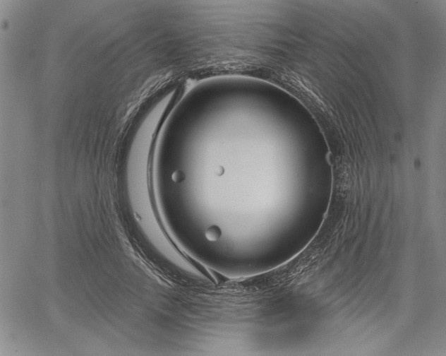 X0000064720738200602171615