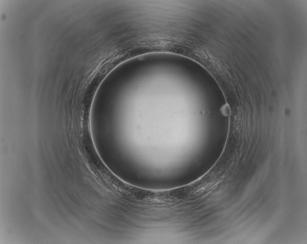 X0000064720739200602171615