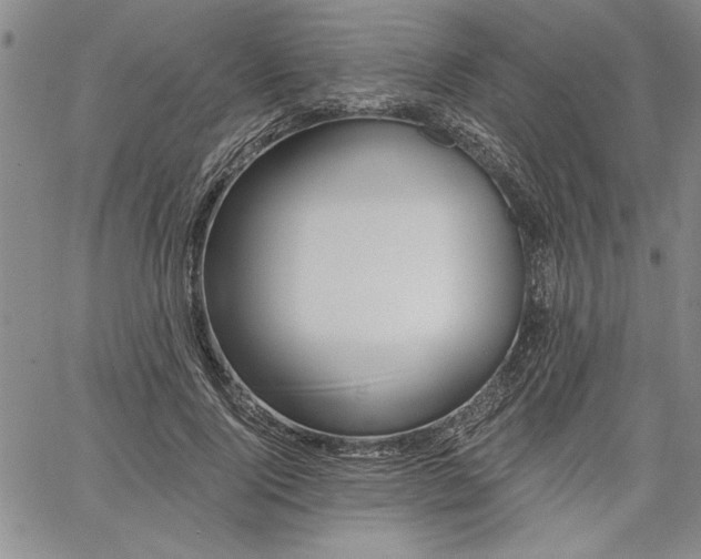 X0000064720740200602171615