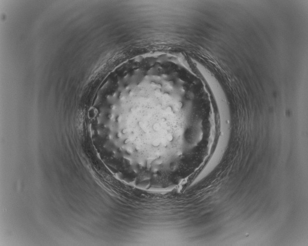 X0000064720742200602171615