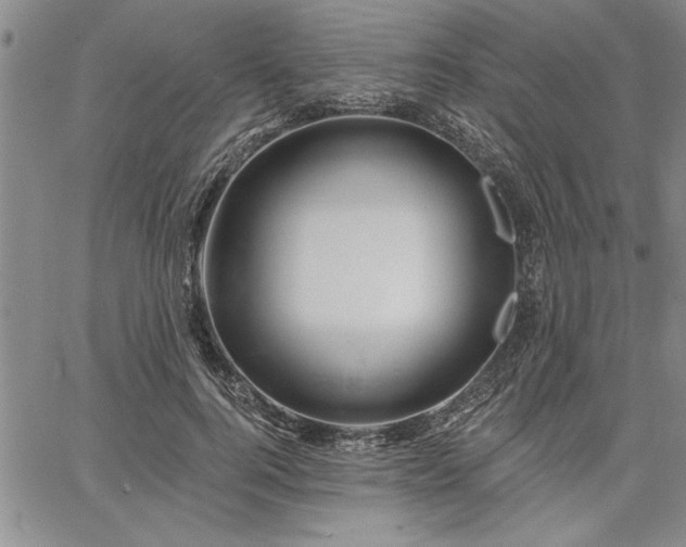 X0000064720744200602171615