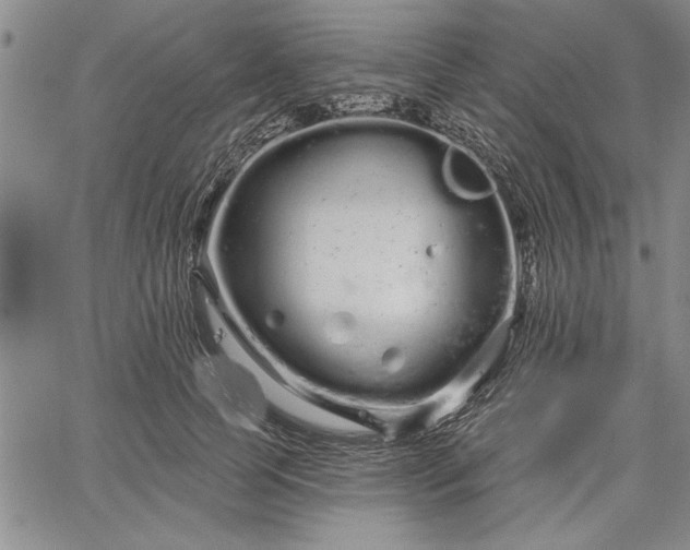 X0000064720745200602171615