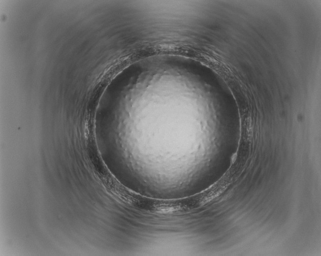 X0000064720746200602171615