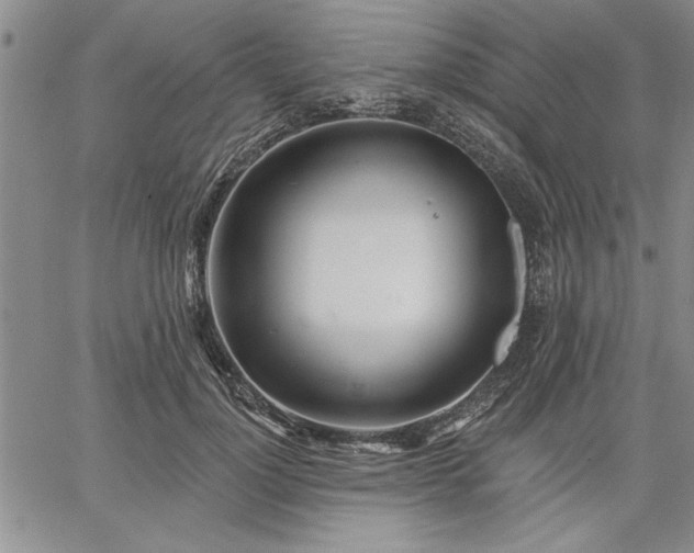 X0000064720748200602171616