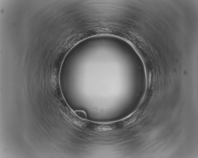 X0000064720749200602171616