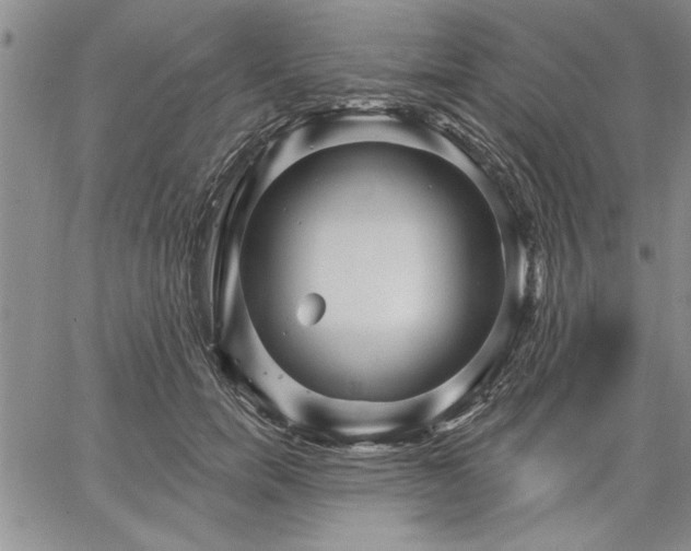 X0000064720750200602171616