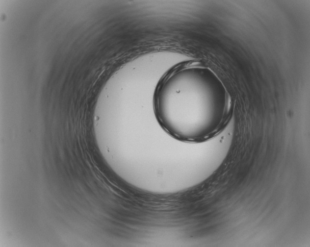 X0000064720752200602171616