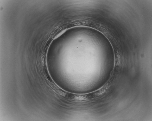 X0000064720753200602171616