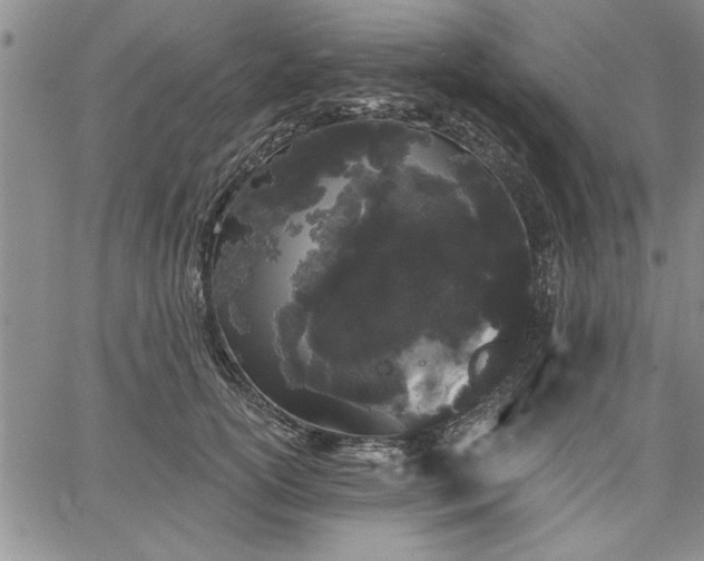 X0000064720754200602171616