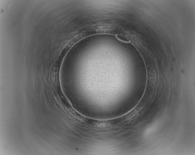 X0000064720755200602171616