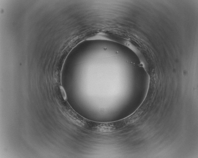 X0000064720756200602171616