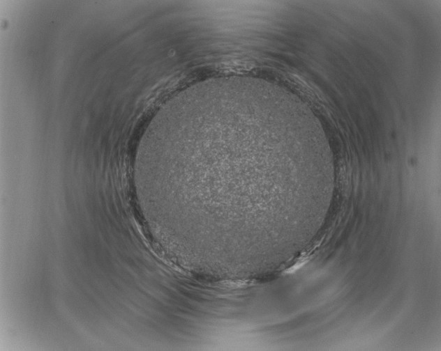 X0000064720757200602171616