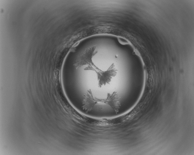 X0000064720759200602171616