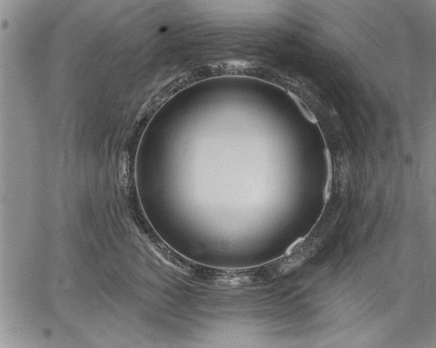 X0000064720760200602171616