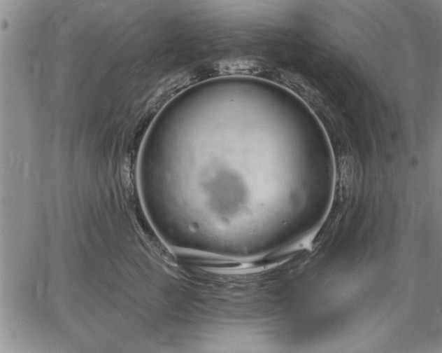 X0000064720761200602171616