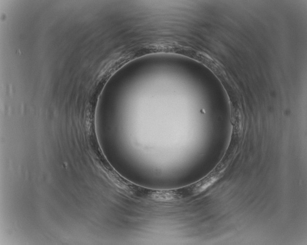 X0000064720762200602171616