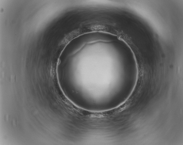 X0000064720763200602171616