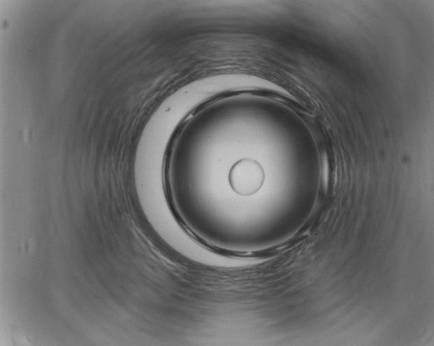 X0000064720764200602171616