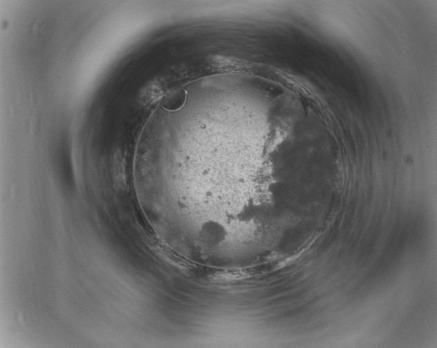 X0000064720765200602171616