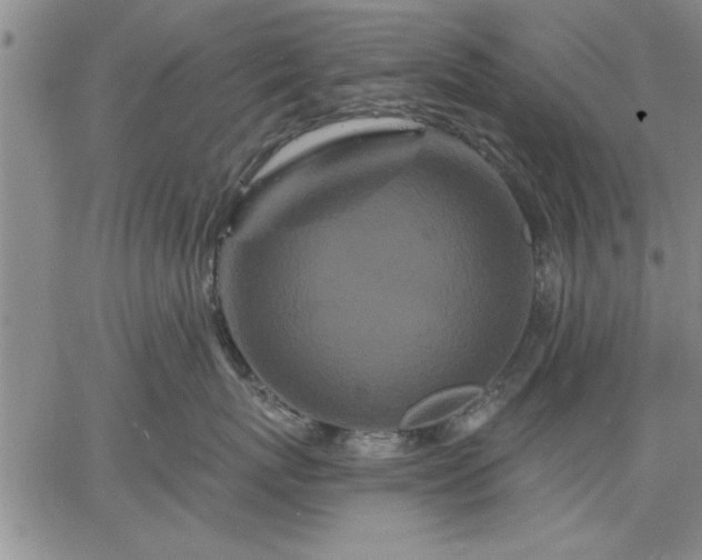 X0000064720767200602171616