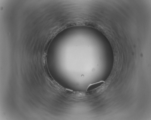 X0000064720768200602171616