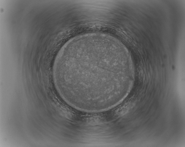 X0000064720769200602171615