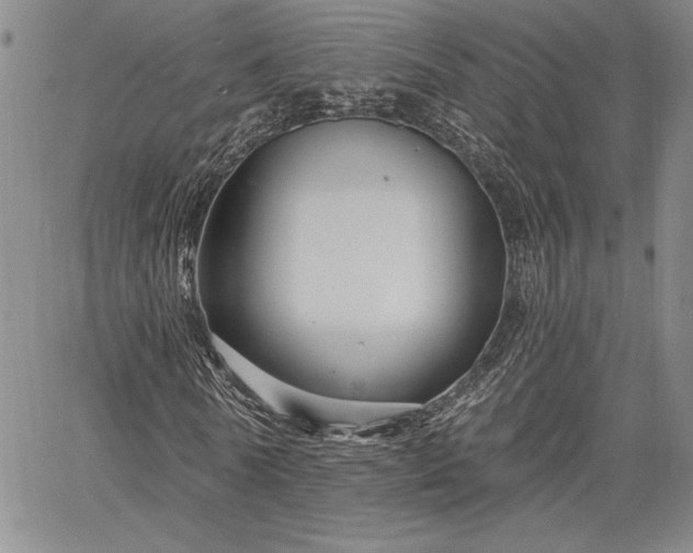 X0000064720770200602171615