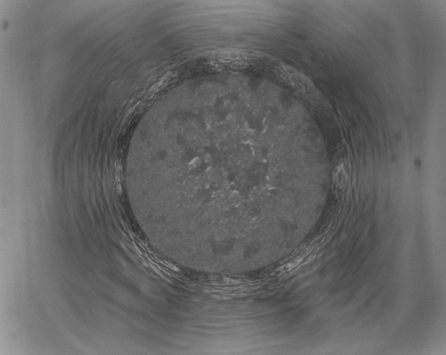 X0000064720772200602171615