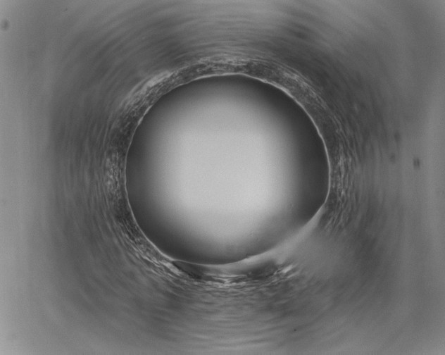 X0000064720773200602171615