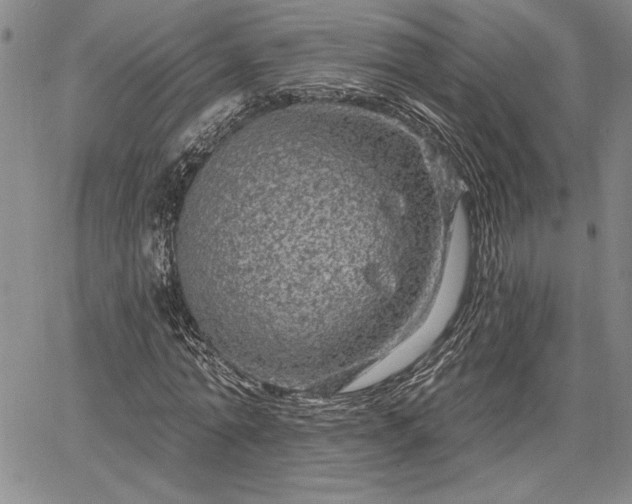 X0000064720774200602171615