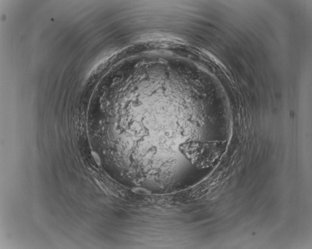 X0000064720775200602171615