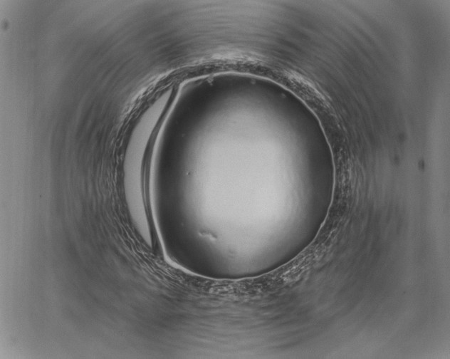 X0000064720776200602171615