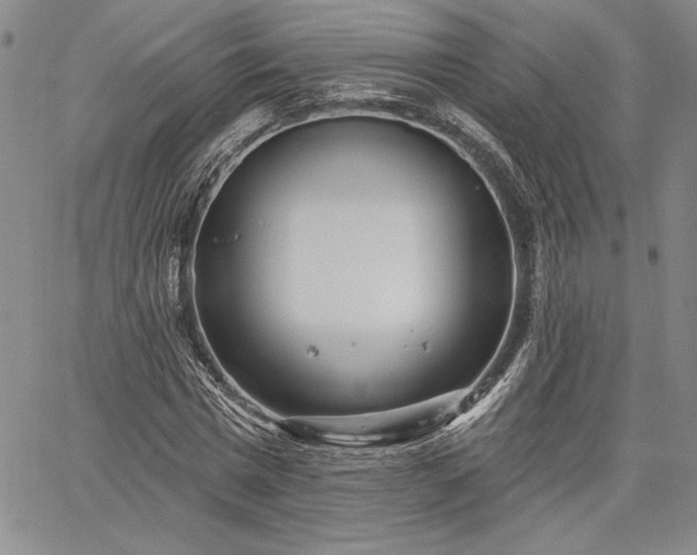 X0000064720777200602171615