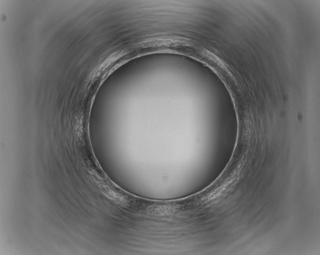 X0000064720778200602171615