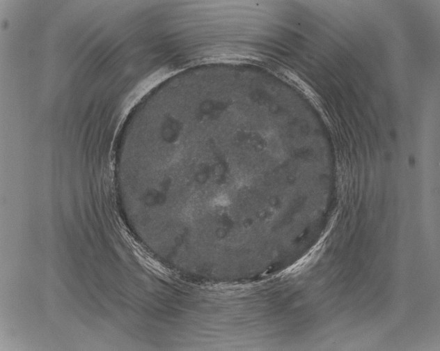 X0000064720779200602171615