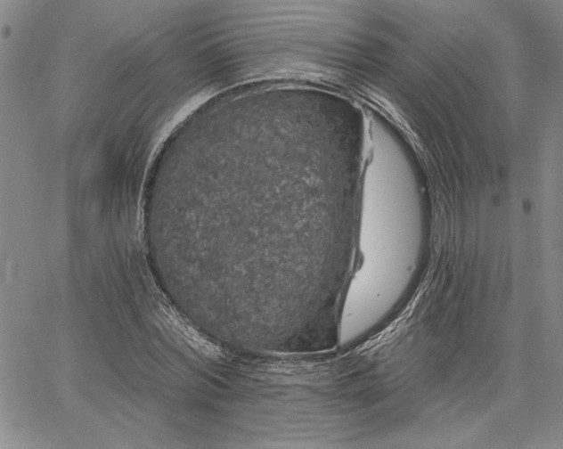 X0000064720780200602171615