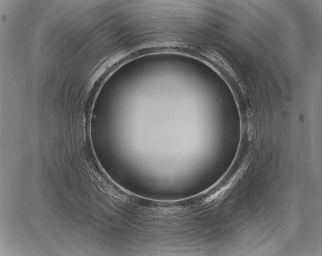 X0000064720781200602171615