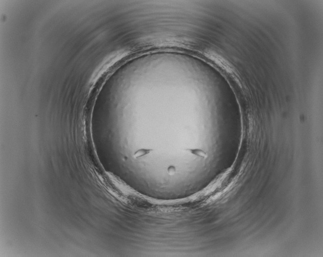 X0000064720782200602171615