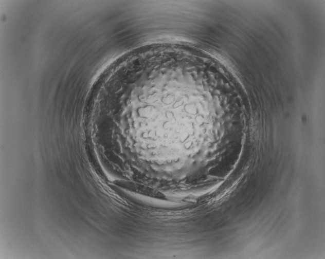 X0000064720783200602171615