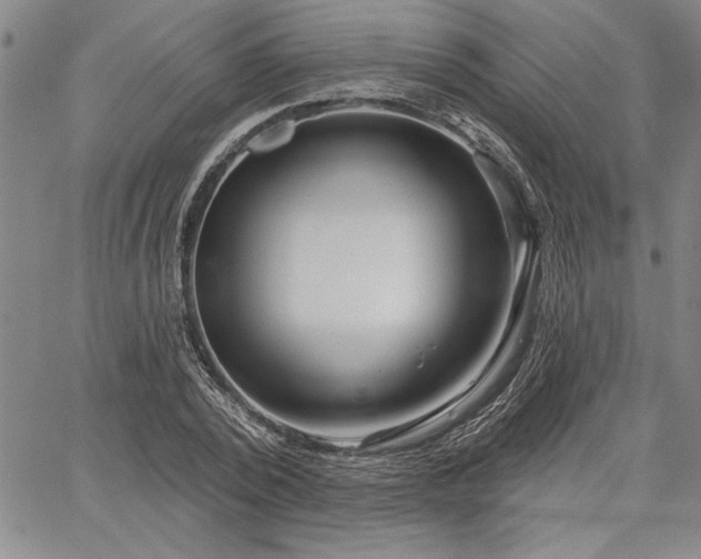 X0000064720784200602171615