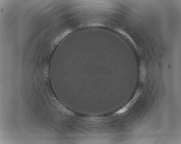 X0000064720785200602171615