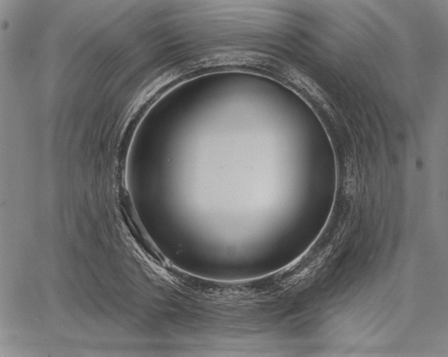 X0000064720786200602171615