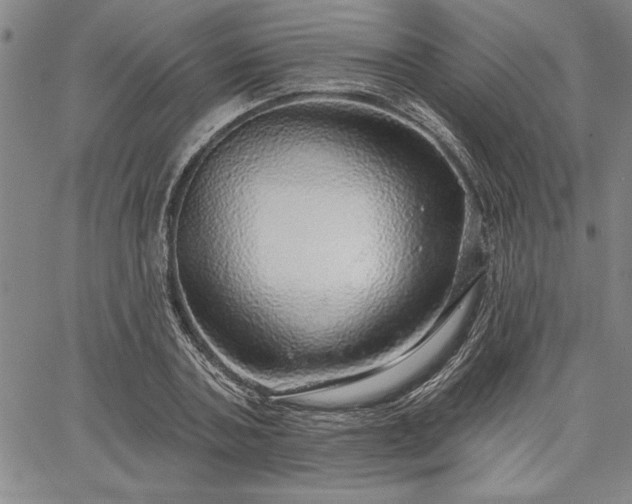 X0000064720787200602171615