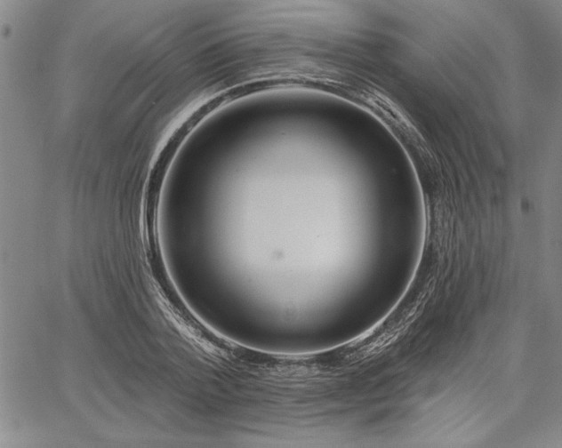 X0000064720788200602171615