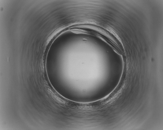 X0000064720789200602171615