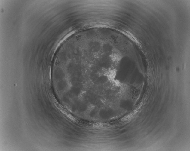 X0000064720790200602171615