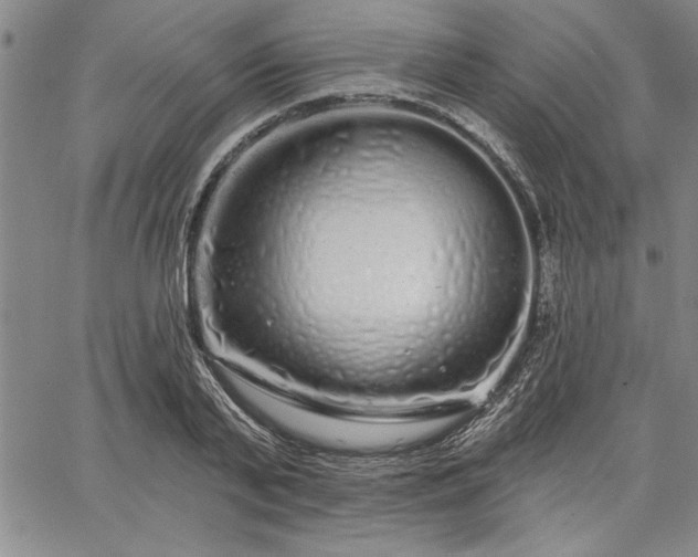 X0000064720791200602171615