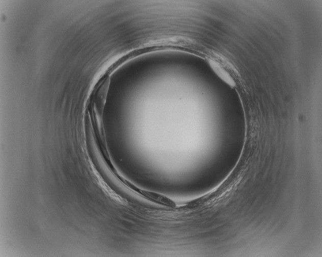 X0000064720792200602171615