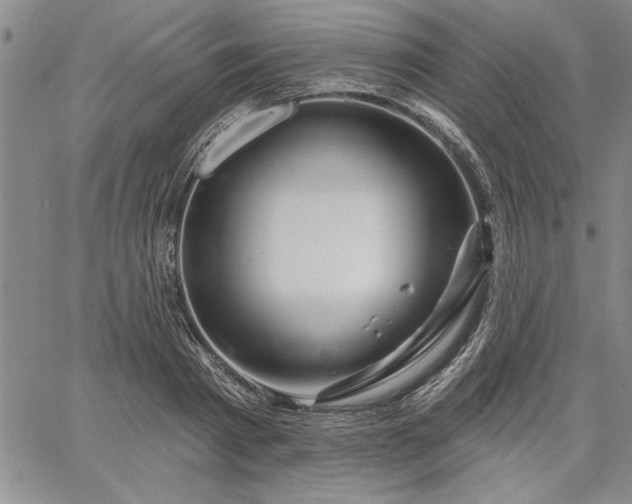 X0000064720793200602171615